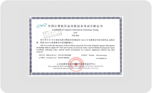 专业证书